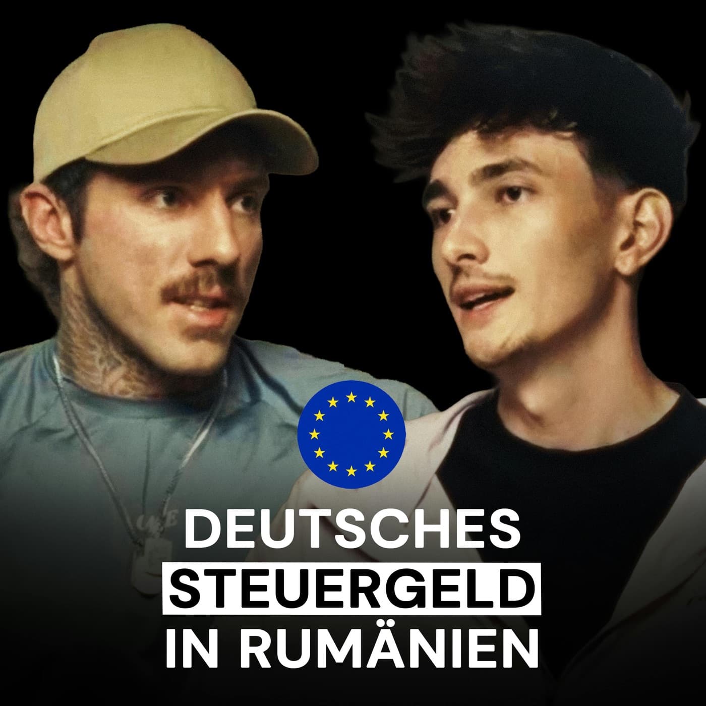Wie Millionen Steuergelder das widerliche Geschäft mit Hunde-Tötungsstationen in Rumänien fördern